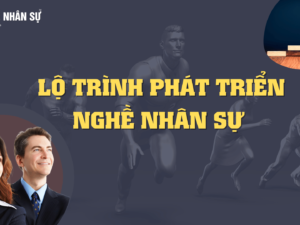 Lo trinh phat trien hcns.png